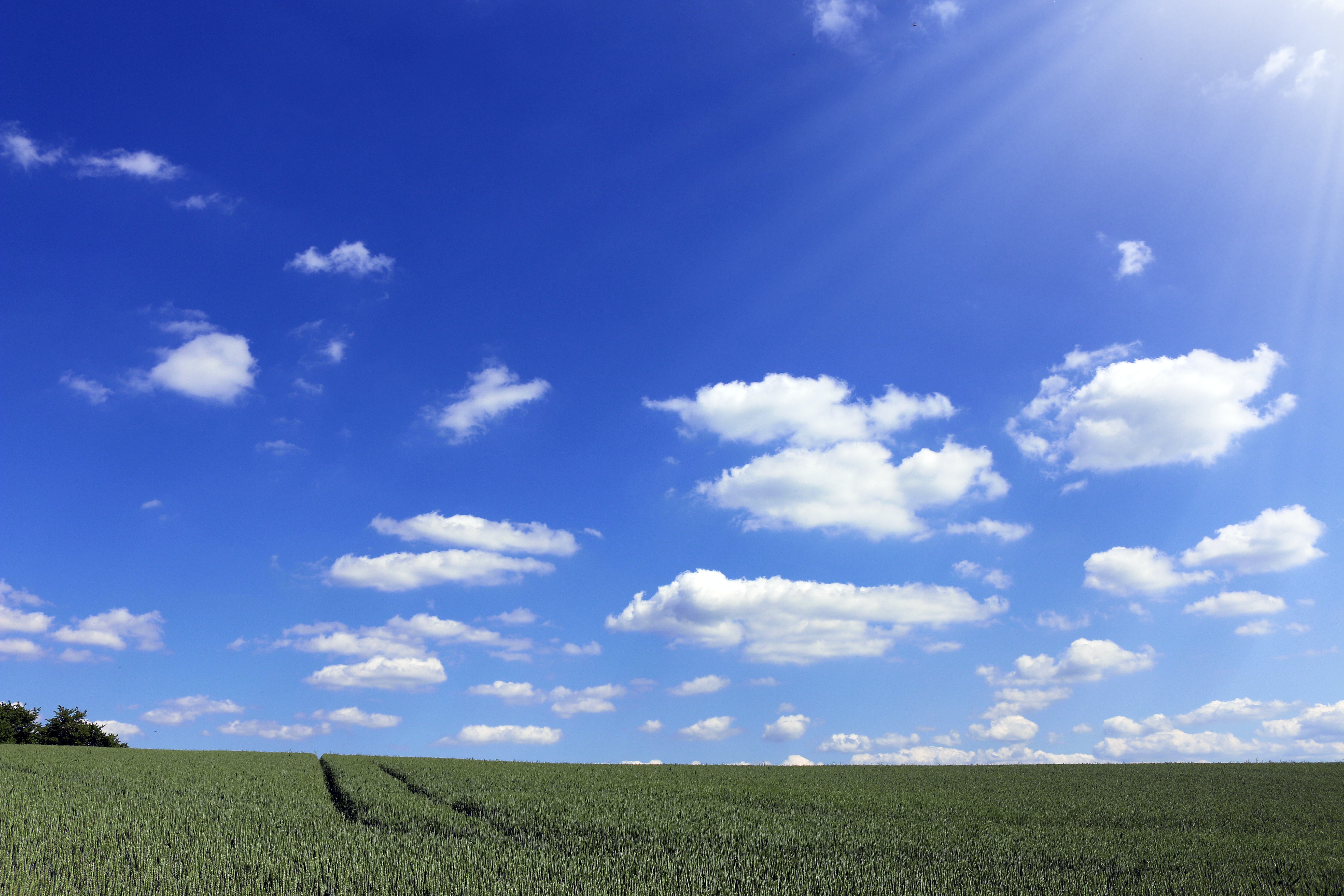 Sky